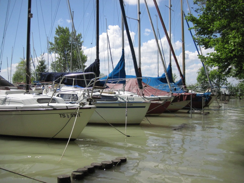 hochwasser2013-21.jpg